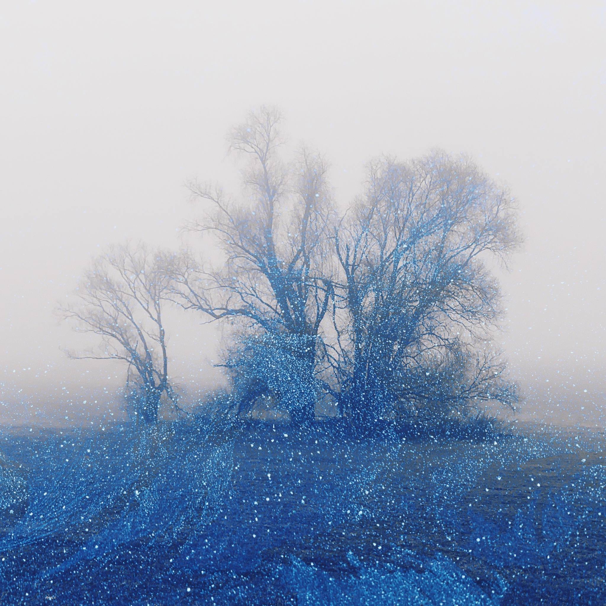 Gegenlicht — Wendland, 2020